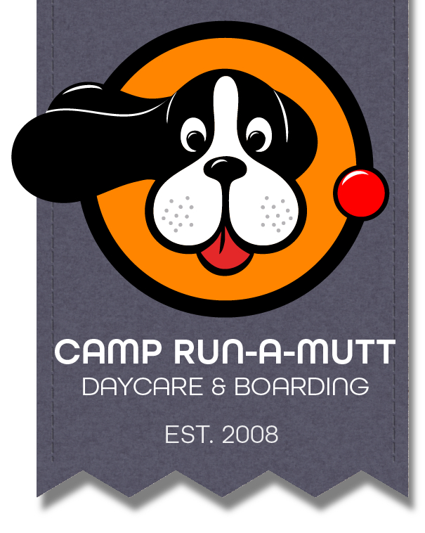 Camp Run-A-Mutt