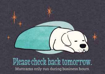 Muttcams offline - pups are sleeping
