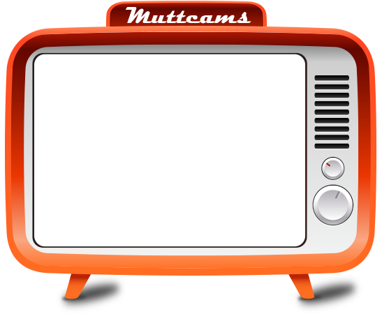 Muttcam Live Video