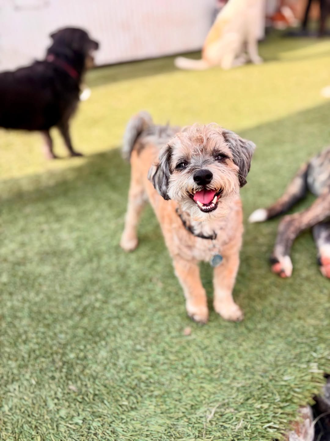 Point Loma (San Diego) location