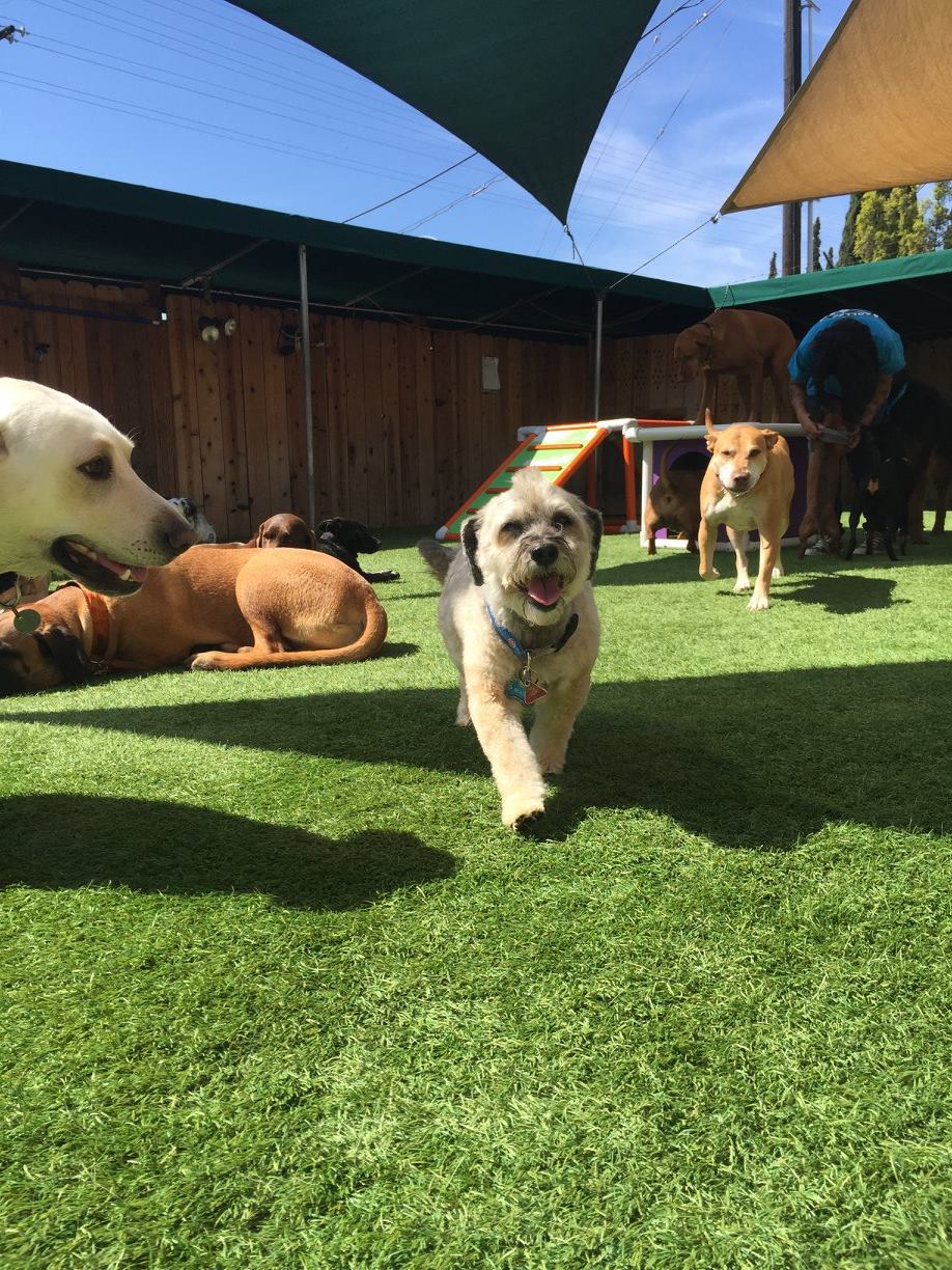 East County (El Cajon) location