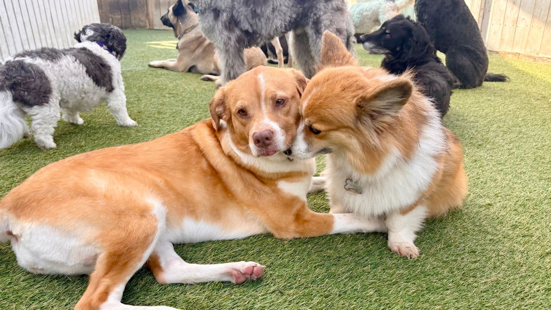 Chula Vista location