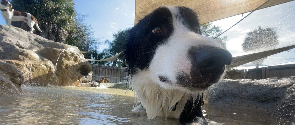 Gainesville location