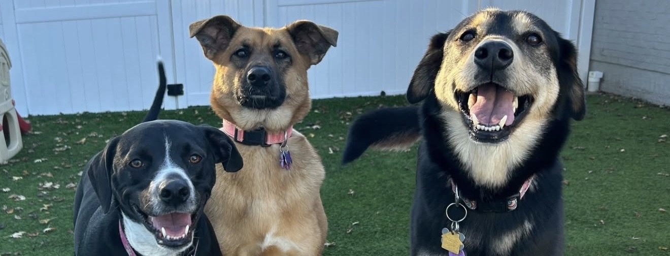 Columbus (Lewis Center) location