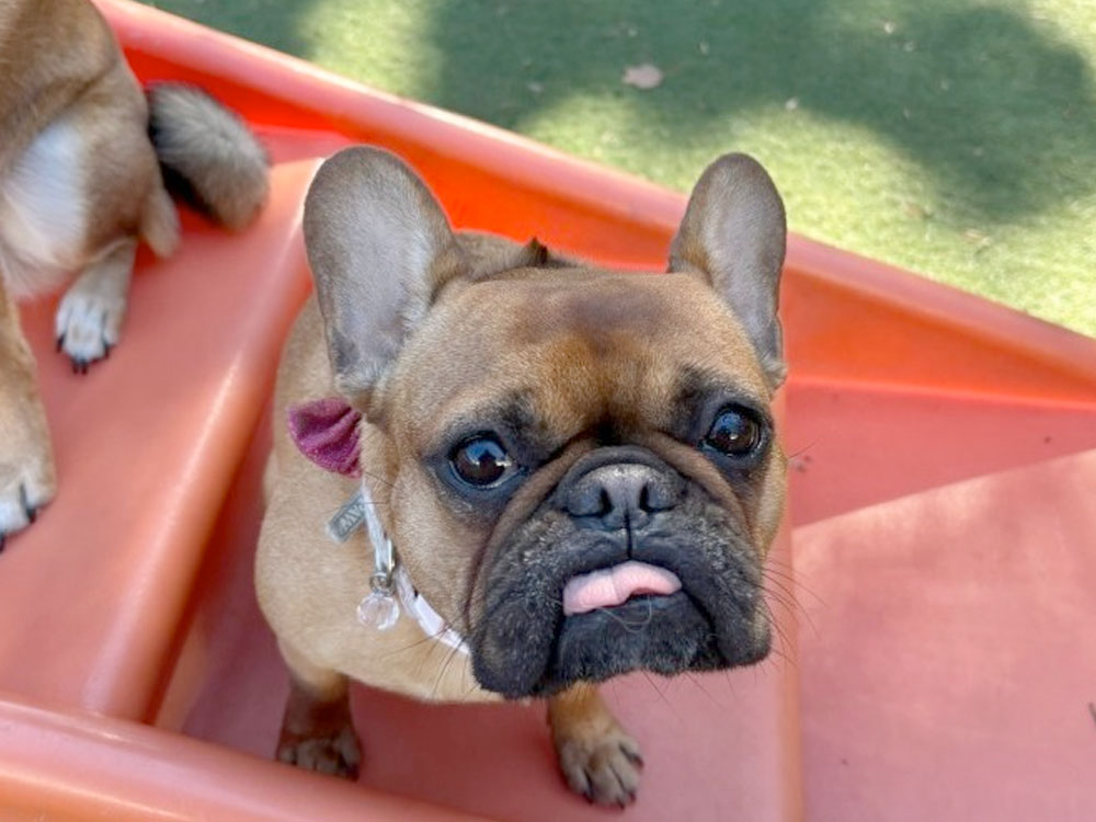 Atlanta/Dunwoody location