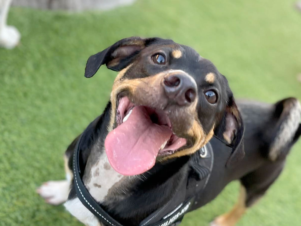 Houston Galleria location