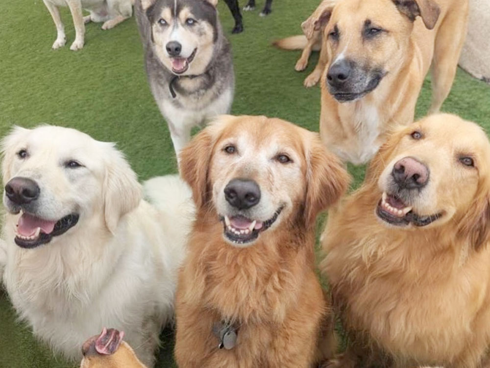 Houston Energy Corridor location