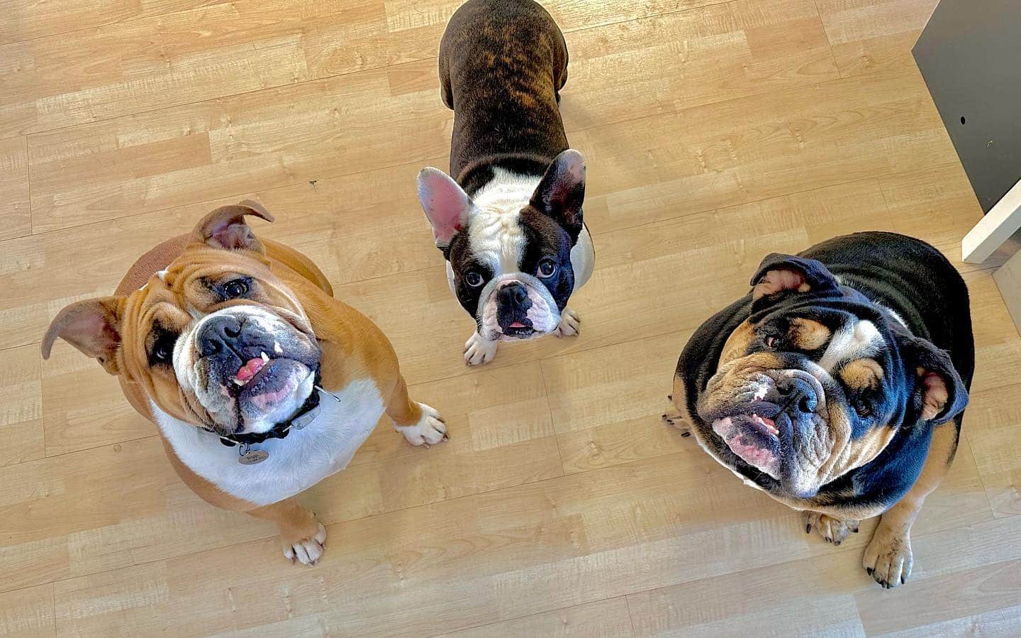 Mr. Biggs, Fletcher & Howard